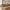 Cabo Havebænk i Massiv Teaktræ fra House Nordic | 150x62x92 cm