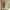 Calcata Væghylde i Egetræ med 3 Hylder fra House Nordic | B55xD22xH55,5 cm - Billede 1