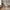 Canari Spisebordsstol i Naturfarvet Rattan med Ben i Sort Aluminium/PE fra House Nordic | L60xB57cm