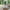 Caracas Sofabord i Natur Egetræ & Stel i Sort Stål fra Actona | B90xD90xH40cm - Billede 1