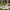 Derby Solseng i Naturfarvet Teak/Polyrattan fra House Nordic | L190xB65xH38cm