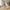 Dokka Spisebordsstol i Sand med Sorte Ben fra House Nordic | L57.5xB52xH87.5cm