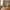 Dover Spisebordsstol i Brun fra House Nordic | 58x61x83cm