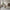 Dover Spisebordsstol i Natur fra House Nordic | 58x61x83cm