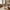 Dover Spisebordsstol i Sand fra House Nordic | 58x60x87cm
