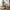 Fano Cafebord i Natur Fra House Nordic | MDF - 70x70x75 cm