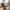 Fraser Loungestol i Stof med Sort Metal Stel fra Unique Furniture | B70xH88xD83cm