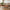 Kyoto Sofabord i Natur Egefiner Fra House Nordic | 2 Skuffer - 50x100x45 cm