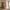 Kyoto Vitrineskab i Natur Egefiner Fra House Nordic | 2 låger - 80x40x130 cm