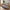 Lammeskind i imiteret grå polyester Fra House Nordic | 60x180