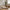 Lammeskind i Lysebrun fra House Nordic | 50x85x5cm