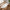 Lammeskindshynde i imiteret hvid polyester Fra House Nordic | 60x180