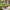 Larisa Havestol i Naturflet Fra House Nordic + Gratis Hynde 56x64x88 cm