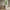Linley Spisebord i Hvidpigmenteret Egetræ med Lamel Front & Stel i Hvidpigmenteret Egetræ fra Actona | Ø120x75 cm - Billede 1