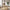 Livo Spisebordsstol i Tan PU Læder med Egetræsben fra Unique Furniture | B46xD55xH82cm