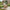 Lombok Udendørs Stol i Polyrattan fra Lexpo Living | Beige | 72x68x100 cm