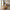 Lourmarin Sofabord i Egetræ &amp; Hærdet Glas fra House Nordic | LBH 110x60x45 cm