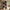 Maze Reol i Flere Farver fra Tvilum | B80xD29,5xH173,5cm - Billede 1