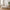 Mykonos Daybed med pude fra House Nordic | 175x88x85 cm