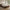 Naia Seng 160x200 i Flere Farver fra Tvilum | B166xD206,6xH80cm - Billede 1