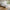 Naia Seng 180x200 i Flere Farver fra Tvilum | B186xD206,6xH80cm - Billede 1