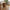 Nashville Spisebordsstol i Teak med Sort Metal Stel fra House Nordic | L55xB53xH83cm