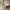 Next seng 160x200 med lameller fra Tvilum | B170,8xD225xH92,7cm - Billede 1