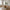Noli Spisebord i Natur/Stone Keramik &amp; Askefiner fra House Nordic | BDH 90x200x76 cm