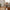 Oldham Bordlampe i grøn keramik fra House Nordic | H44