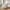 Paisley Puf i Off-White Fra House Nordic | Polyester
