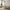 Palma TV Bænk i Greige MDF fra Unique Furniture | L140xB45xH50cm