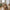 Pasaku Serveringsvogn i Natur i Naturfarvet fra House Nordic | 50x86x81cm
