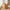 Passo kurv i 100% naturlig vandhyacint fra House Nordic | 30x30x30 cm - 1stk tilbage - OUTLET