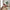 Roxana Spisebordsstol med Armlæn i Rose Stof og Sort Stål Stel fra Unique Furniture | B57,5xD62xH88cm