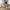 Roxana Spisebordsstol med Armlæn i Sand Stof og Sort Stel fra Unique Furniture | B57,5xD62xH88cm