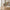 Salerno Spisebordsstol i Sand fra House Nordic | 60x61x78cm