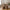 Sema kurve med plastik indvendigt fra House Nordic | 19/30/41x19/30/41x25/38/49