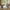 Strington Sofabord i Sort Melamin & Røget Glas & Stel i Sort Stål fra Actona | B120xD60xH40cm - Billede 1