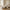Taza Puf Modul i Sand fra House Nordic | 84x89x40cm