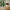 Townsville Fingertappet Væghylde/Sengebord i 100% Massiv Egetræ fra House Nordic | L30xB18xH30 cm - Billede 1