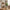 Wigan Bordlampe i Natur/Sort fra House Nordic | Ø15xH32cm