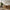Zamora Skænk i Natur Egetræ med 4 Glaslåger &amp; 1 Hylde fra House Nordic | D40xB180xH80 cm