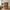 Zamora Vitrineskab i Natur Egetræ og Glas fra House Nordic | D40xB90xH126 cm