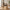 Anzio Spisebordsstol i Sort/Natur fra House Nordic | 57x60x83cm