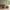 Aosta Kurve i Natur Fra House Nordic | Bananflet - Sæt af 2 - Billede 2