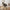 Avola Lænestol i Grafit Polyester med Drejefod i Sort fra Unique Furniture | B59xD65xH89 cm