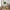 Avola Spisebordsstol med Armlæn i Sandfarvet Stof med Sort Stål Stel fra Unique Furniture | B59xH87xD65cm