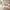 Bali Sofabord i Naturolieret 100% Massiv Egetræ fra Lexpo Living | 70x50x36 / 90x60x44 / 105x70x52 cm - Billede 2