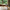 Bali Sofabord Sæt af 2 i Naturolieret 100% Massiv Egetræ fra Lexpo Living | 70x50x36 & 90x60x44 cm - Billede 2