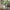 Bali Sofabord Sæt af 2 i Røget 100% Massiv Egetræ fra Lexpo Living | 70x50x36 & 90x60x44 cm - Billede 2